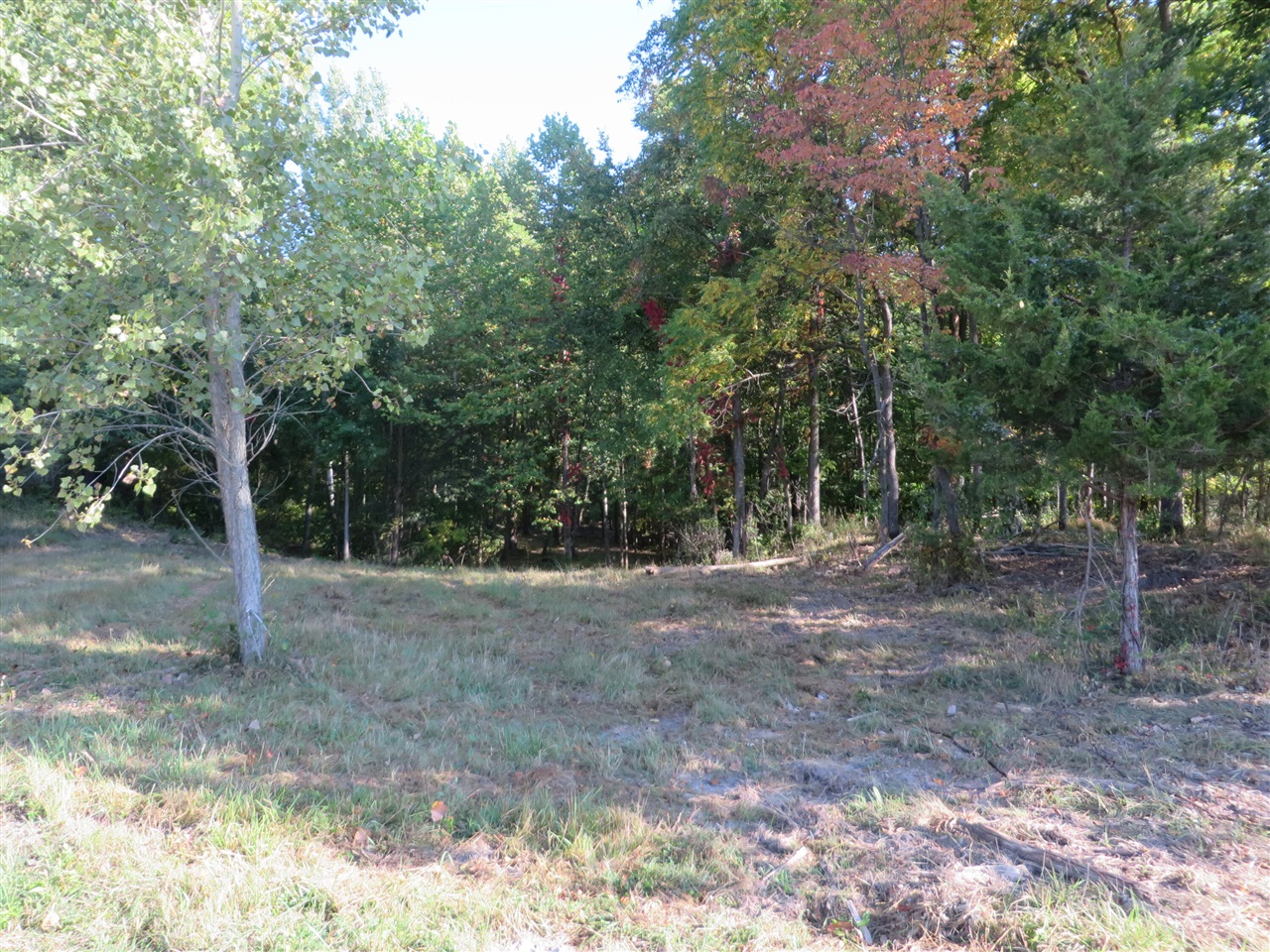 3473 Breezewood Court photo 2