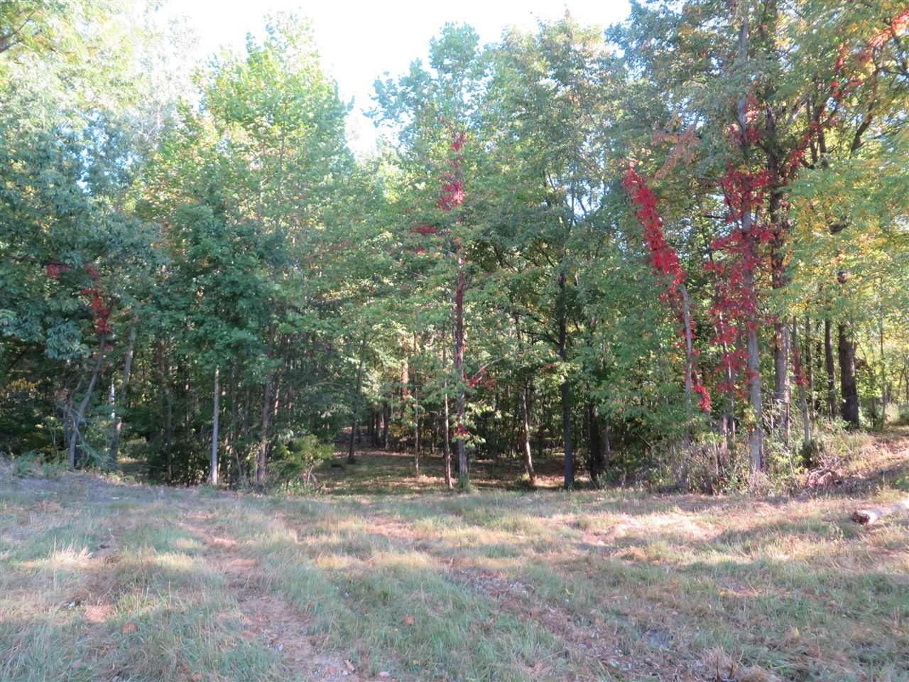 3473 Breezewood Court photo 3