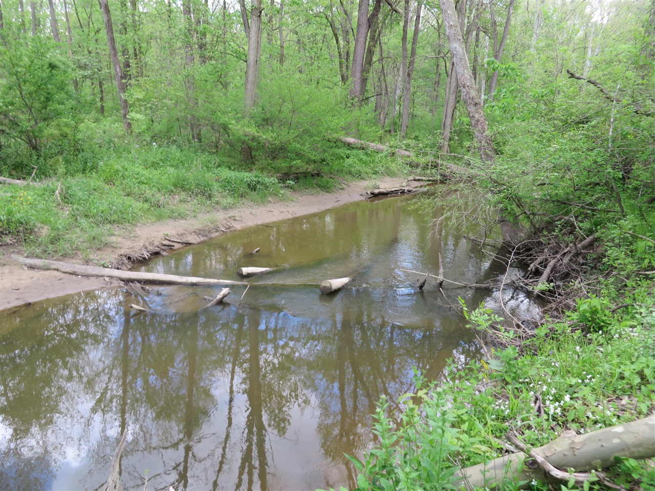 3473 Breezewood Court photo 4