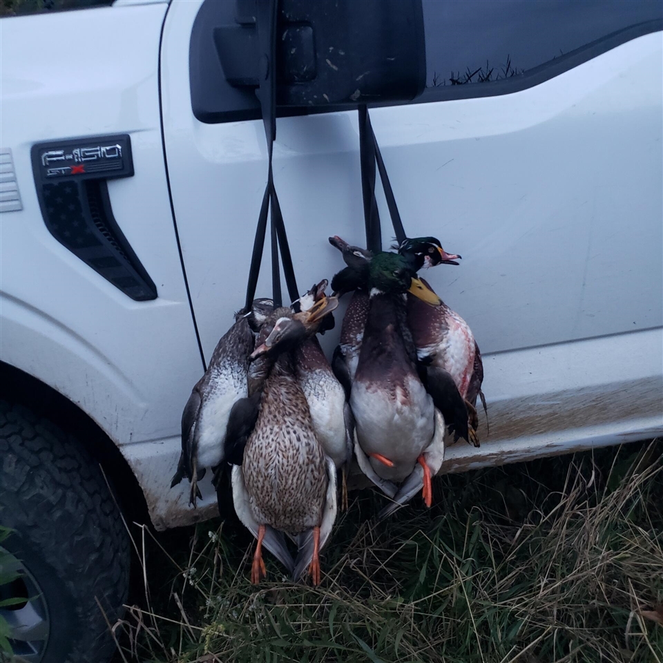 17550 U.S. 12, Cement City, MI, 49233