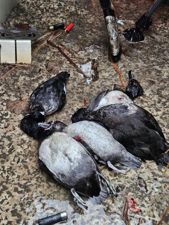 17550 U.S. 12, Cement City, MI, 49233