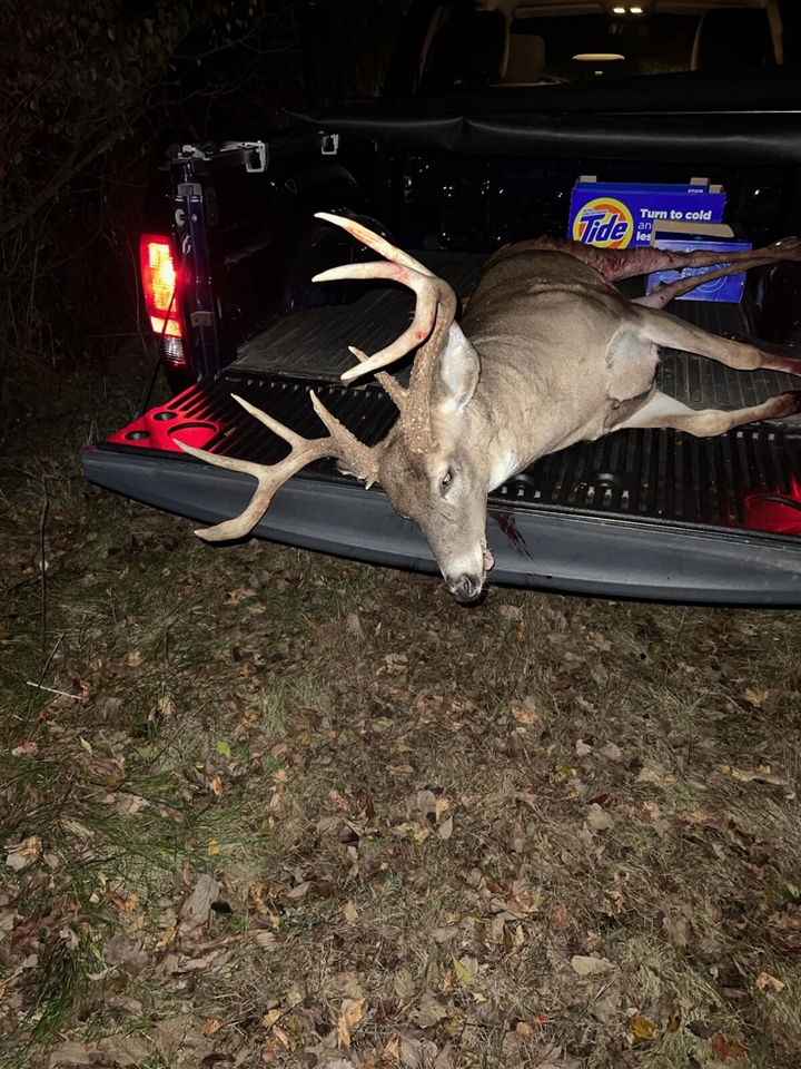 17550 U.S. 12, Cement City, MI, 49233