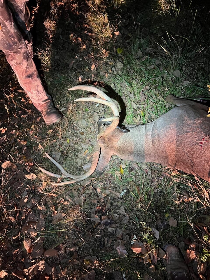 17550 U.S. 12, Cement City, MI, 49233