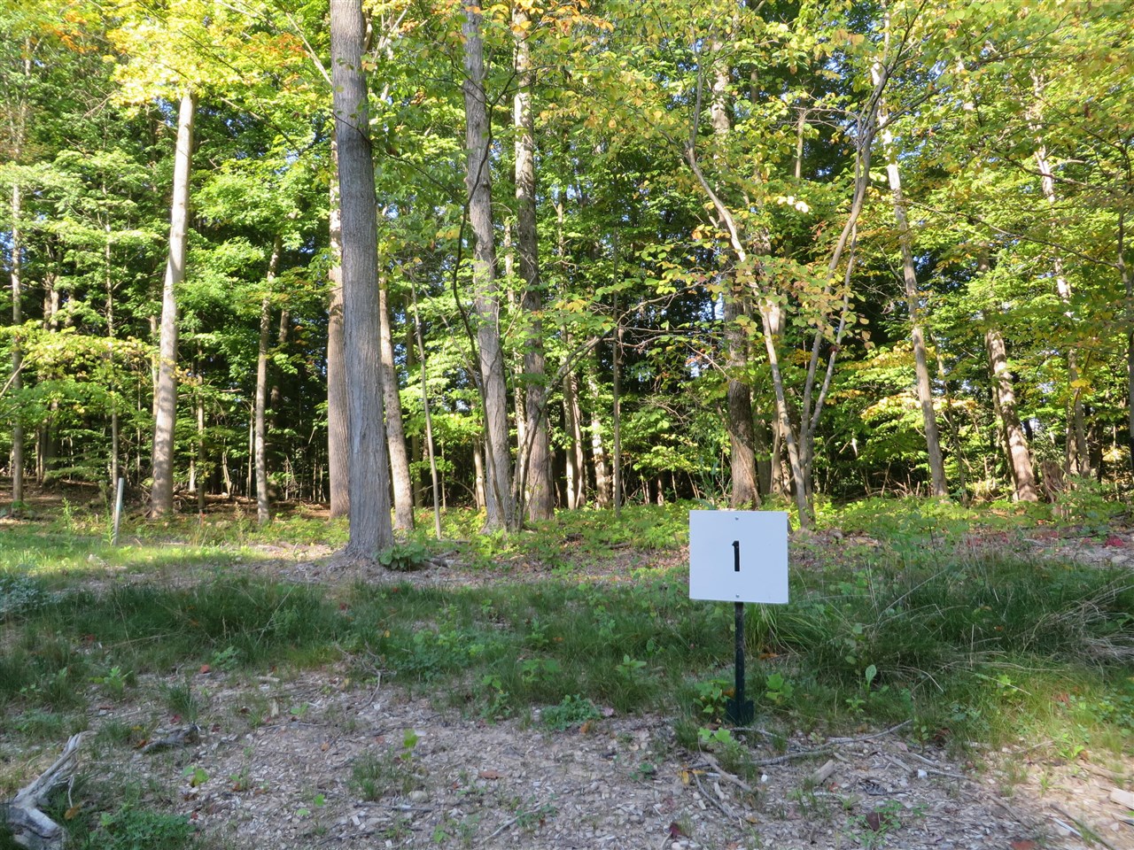 8697 Rainbows End Court Parcel #1 photo 4