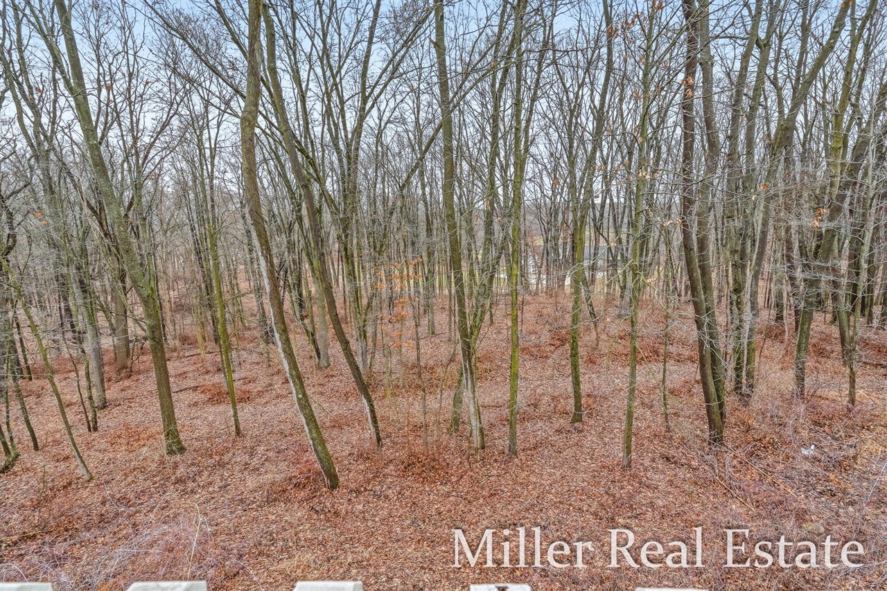 1520 Liberty Lane, Hastings, MI, 49058-1000