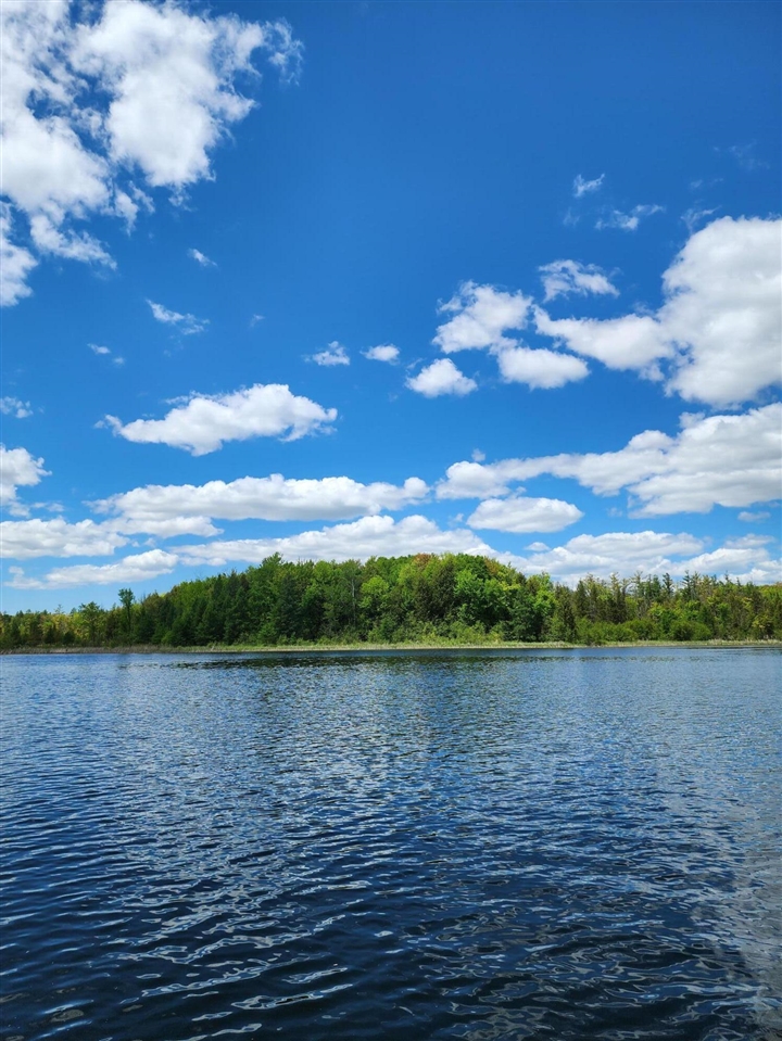 0 E Springhill UNIT&nbsp;8, Hesperia, MI, 49421