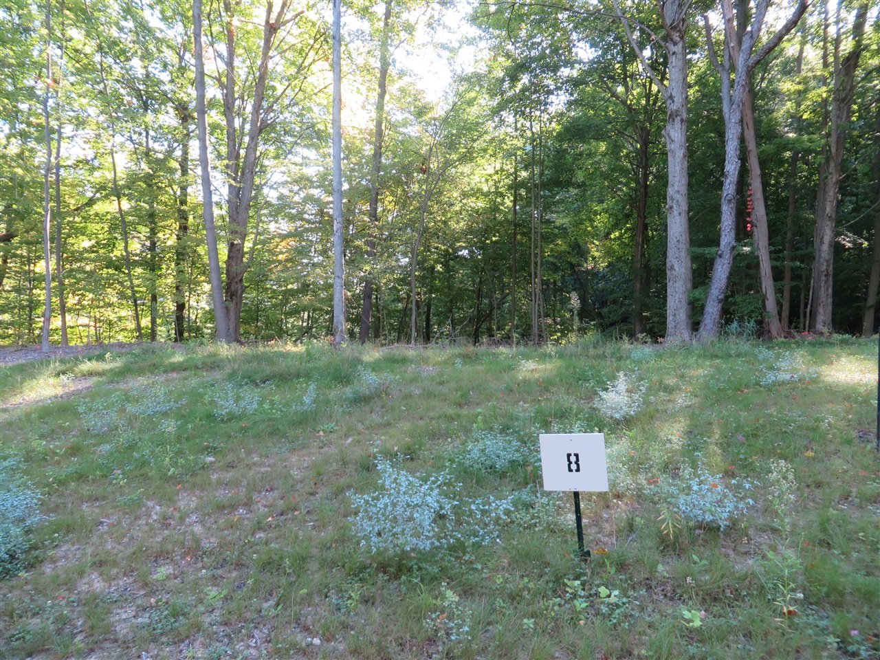 8700 Rainbows End Court Parcel #8 photo 4
