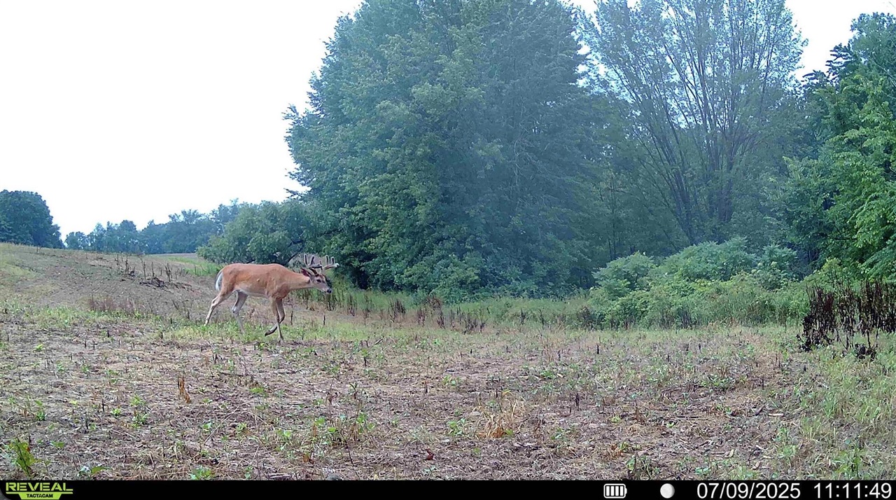 Homes for sale in Parma, MI | N Carlson Rd, Parma, MI 49269 | MLS# 70518318