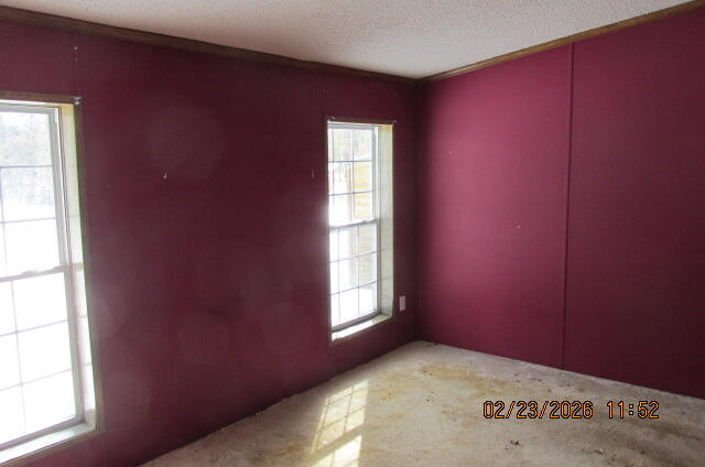 8990 S Crosby Road, Idlewild, MI, 49642