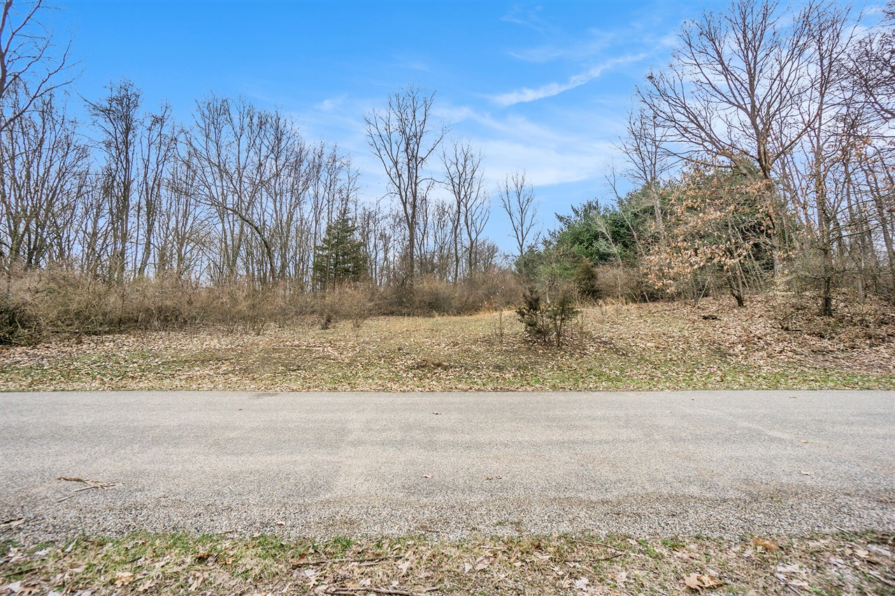 Lot 7 Highfield Road photo 11