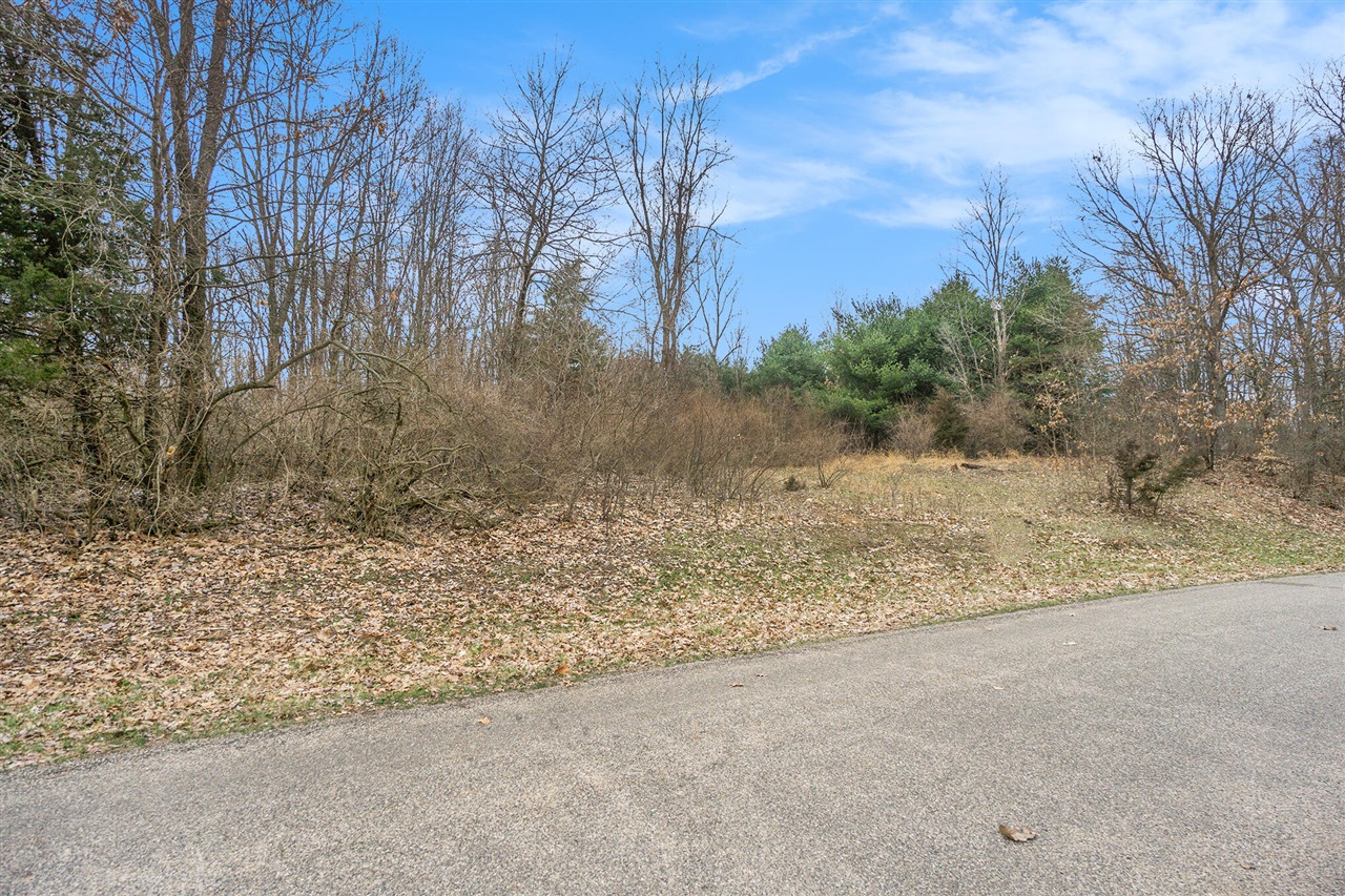 Lot 7 Highfield Road photo 12
