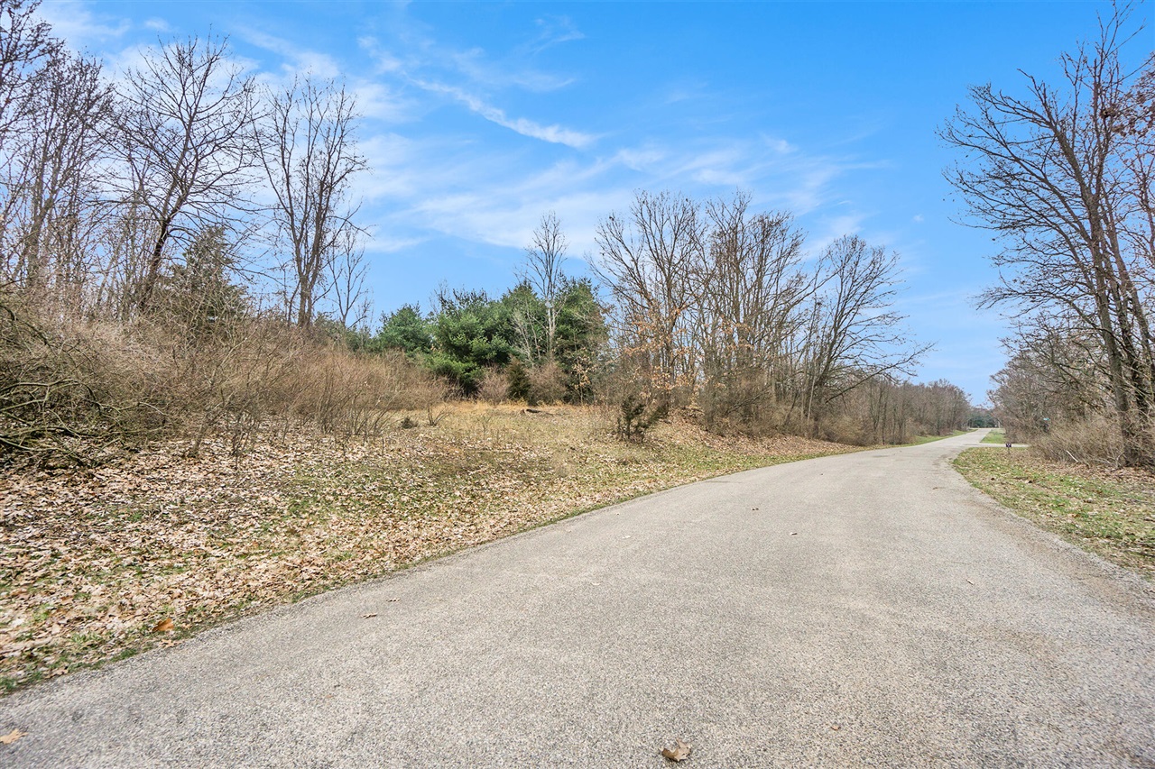 Lot 7 Highfield Road photo 13