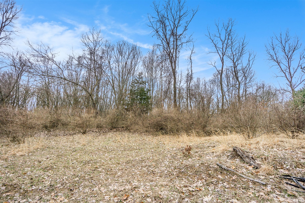 Lot 7 Highfield Road photo 15