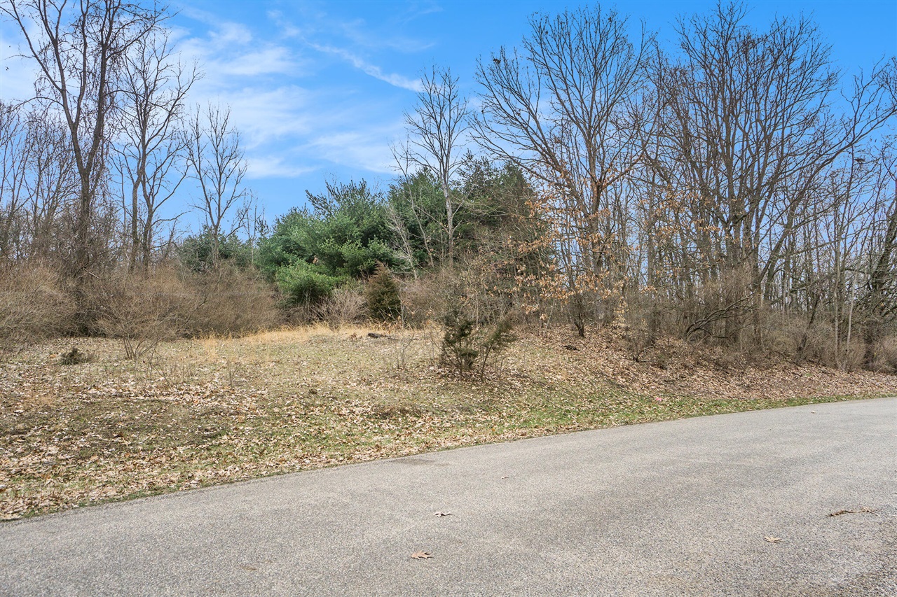 Lot 7 Highfield Road photo 19