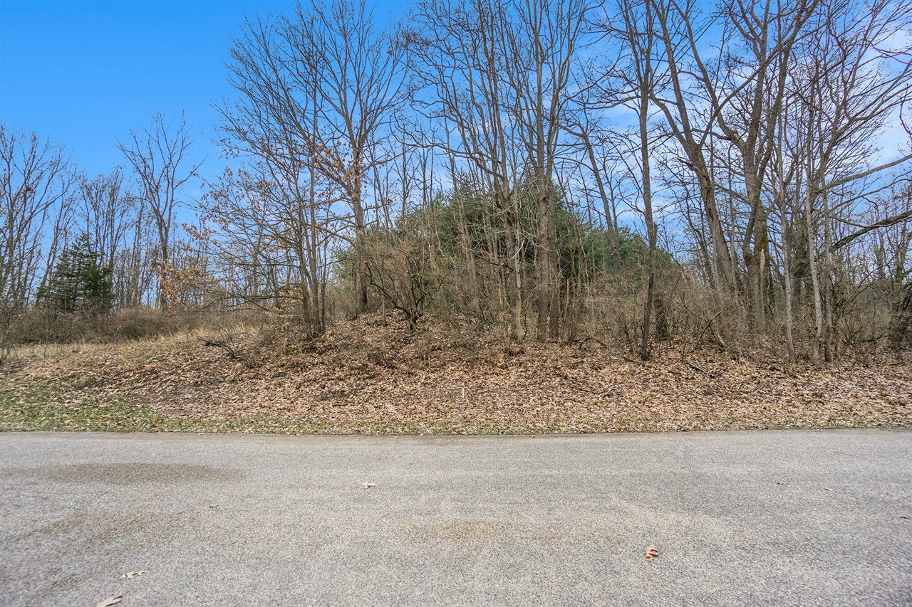 Lot 6 Highfield Road photo 11