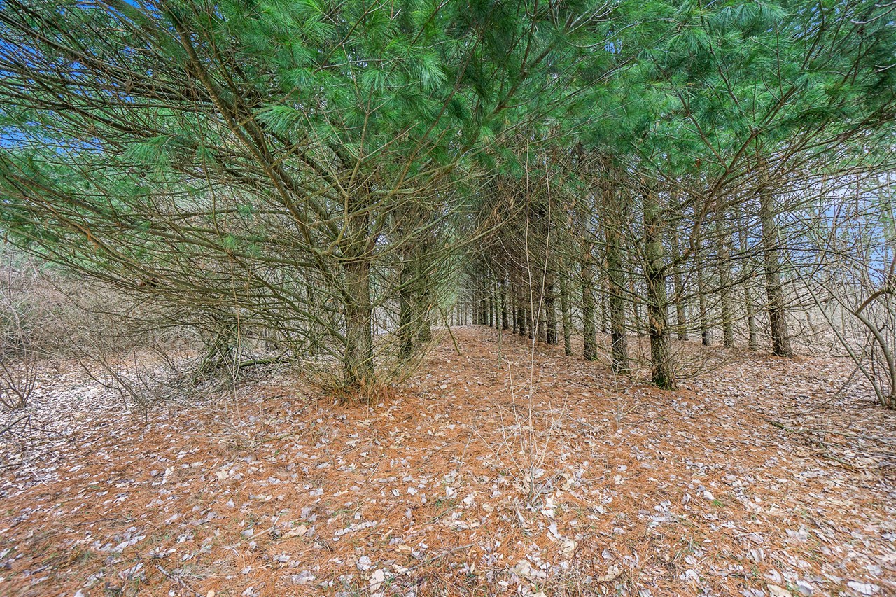 Lot 6 Highfield Road photo 16