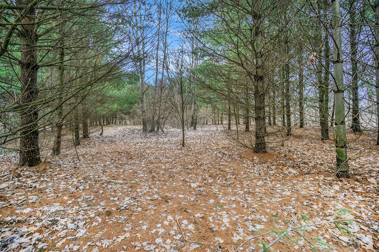 Lot 6 Highfield Road photo 17