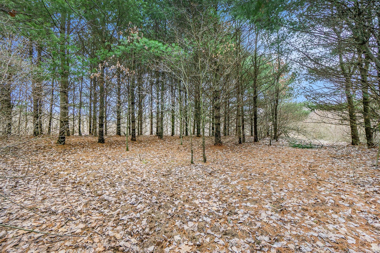 Lot 6 Highfield Road photo 18