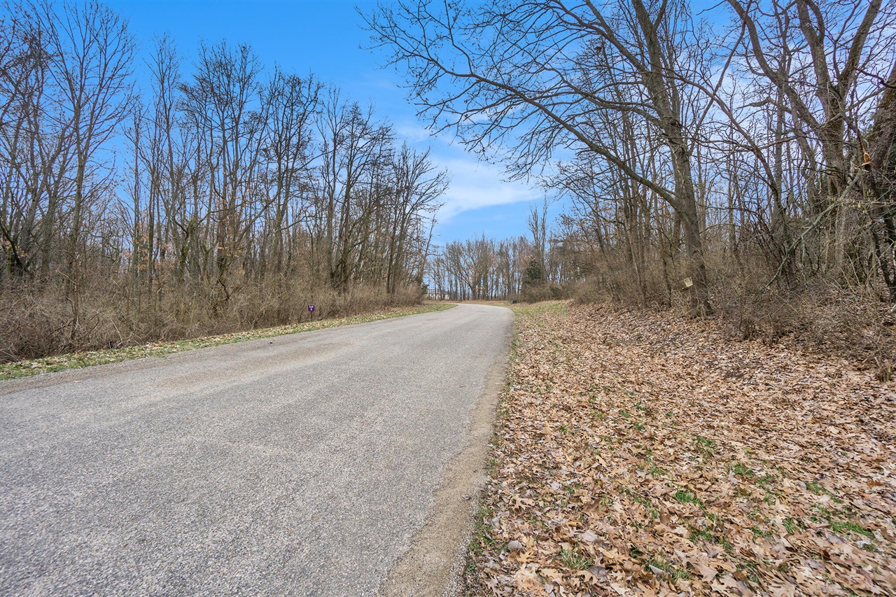Lot 6 Highfield Road photo 20