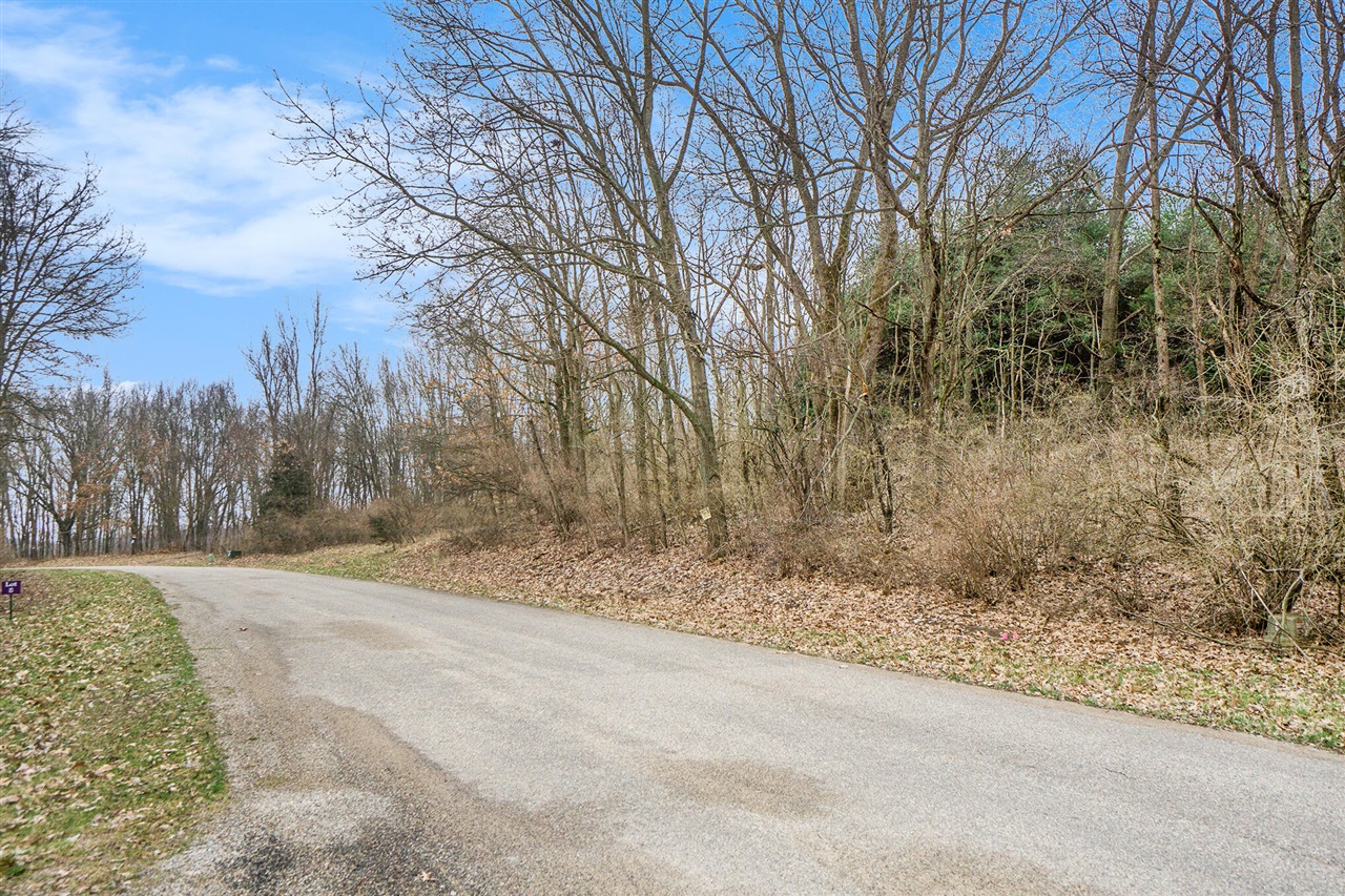 Lot 6 Highfield Road photo 10