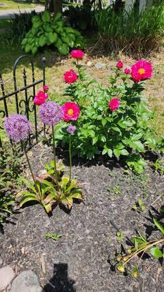 524 Hickory Street, Milford, MI, 48381-1649