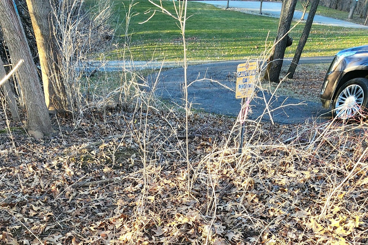 Homes for sale in Tipton, MI | 6000 Us Hwy 12 Rd, Tipton, MI 49287 | MLS# 70518551