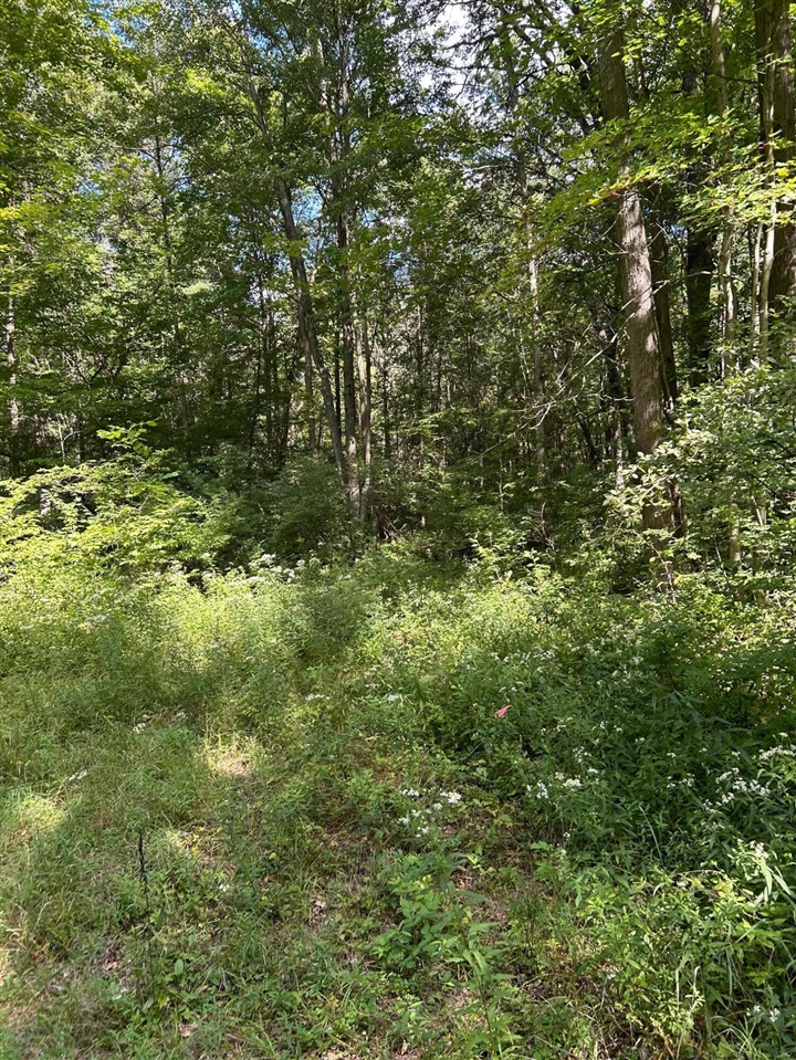 3250 W Isabella Road, Shepherd, MI, 48883