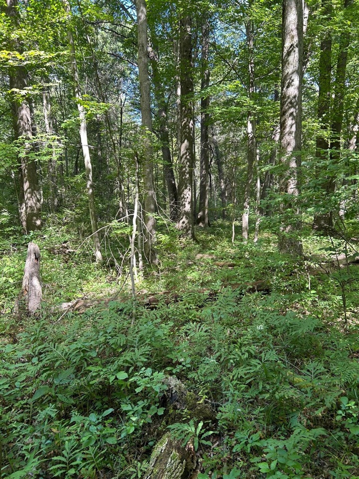 3250 W Isabella Road, Shepherd, MI, 48883