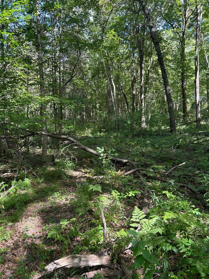 3250 W Isabella Road, Shepherd, MI, 48883