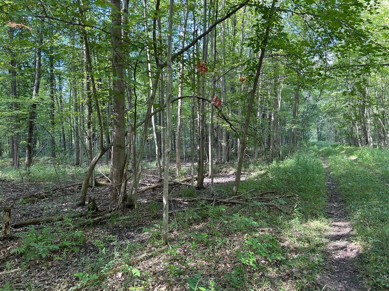 3250 W Isabella Road, Shepherd, MI, 48883