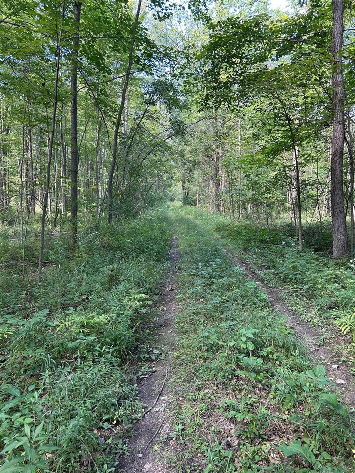 3250 W Isabella Road, Shepherd, MI, 48883