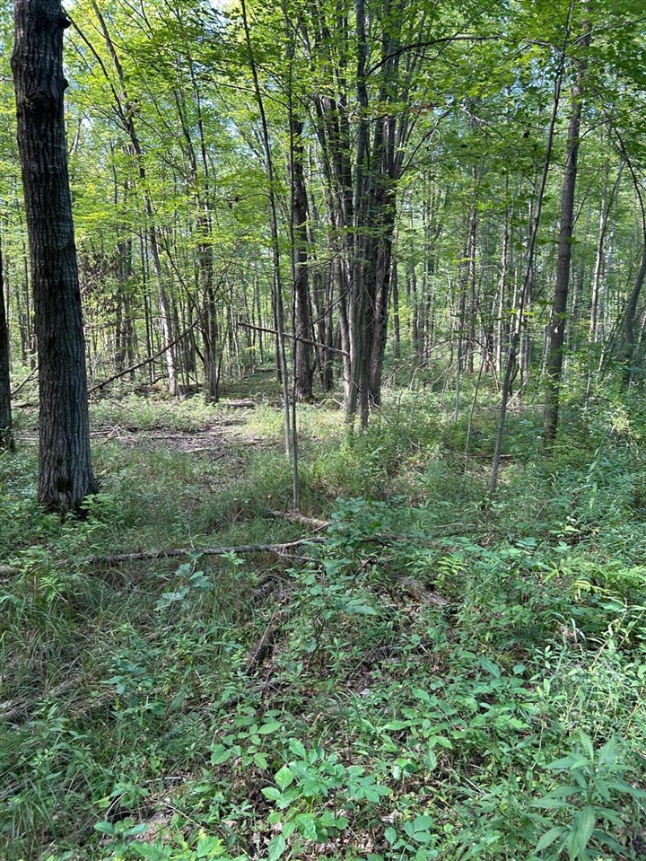 3250 W Isabella Road, Shepherd, MI, 48883