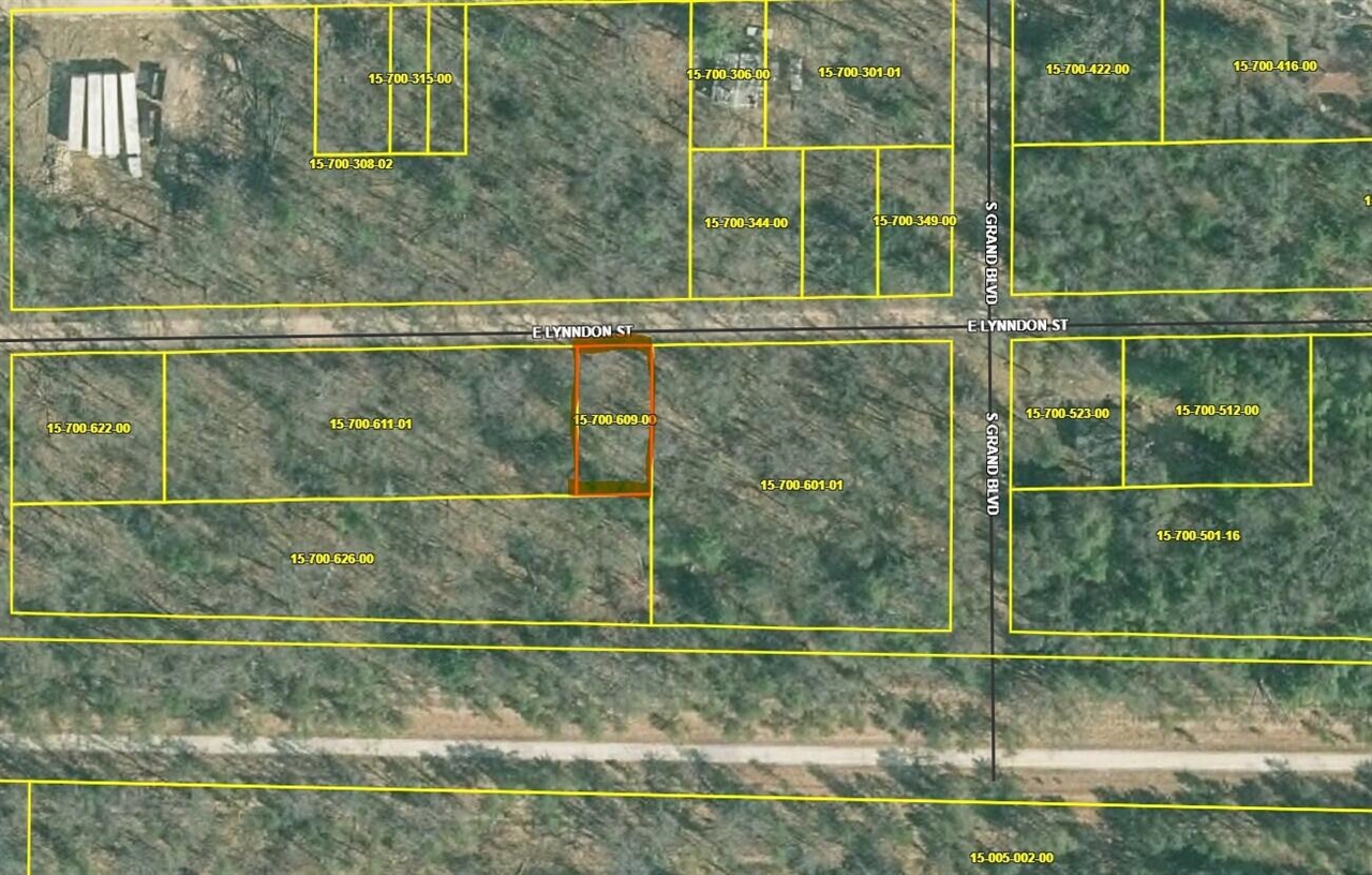 2nd image of Vl E Lynndon St, Idlewild, MI 49642 | MLS# 70518643