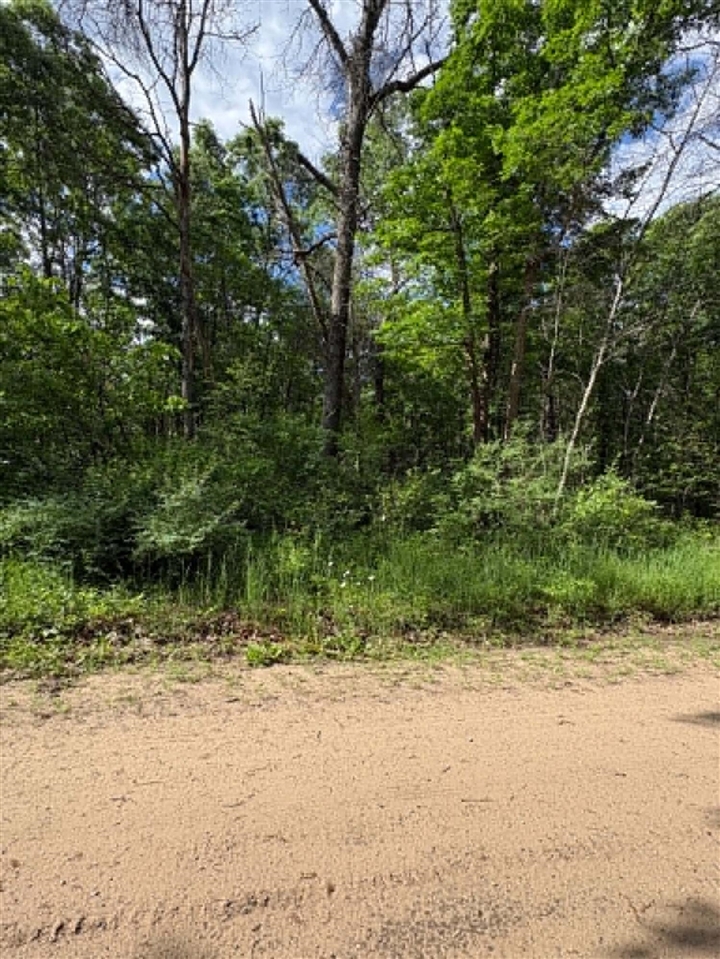 3rd image of Vl E Lynndon St, Idlewild, MI 49642 | MLS# 70518643