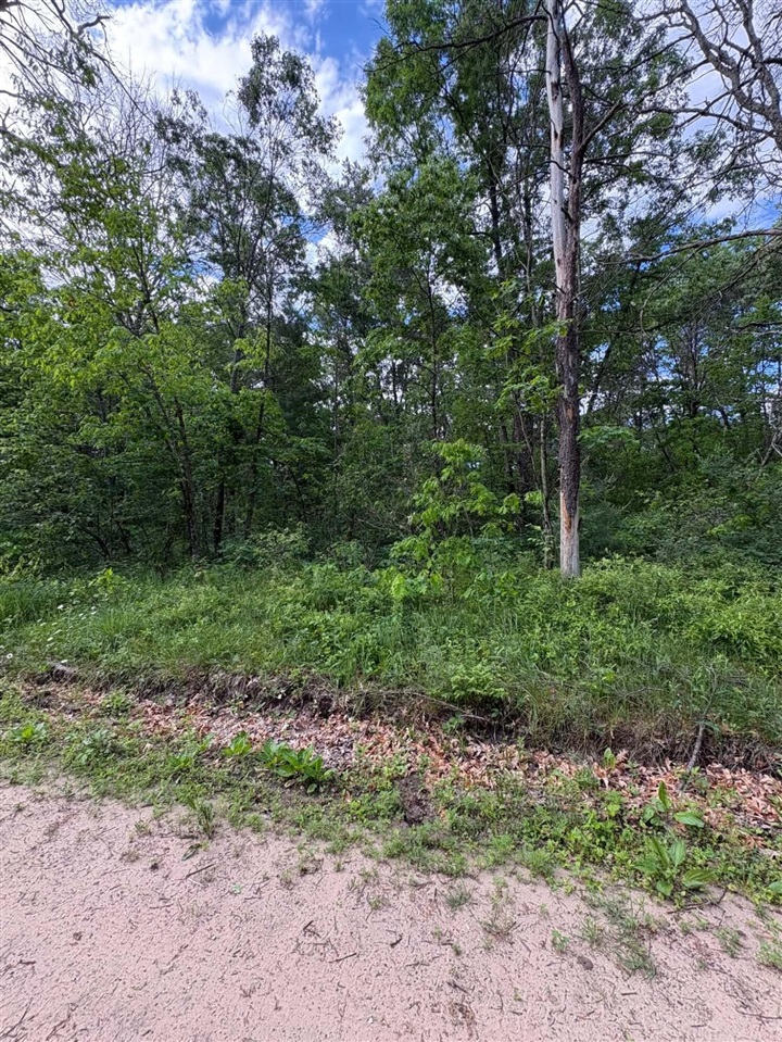 4th image of Vl E Lynndon St, Idlewild, MI 49642 | MLS# 70518643