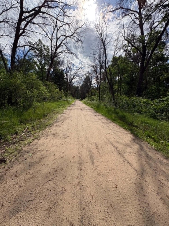 5th image of Vl E Lynndon St, Idlewild, MI 49642 | MLS# 70518643