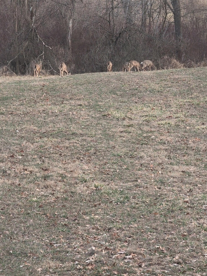 2704 Woods View Drive, Hillsdale, MI, 49242-9021