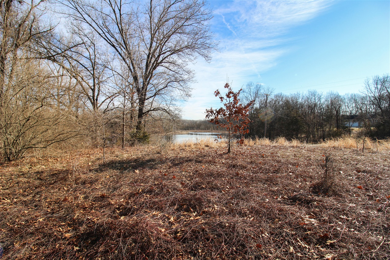 Shorewood Lot 1 Drive photo 3