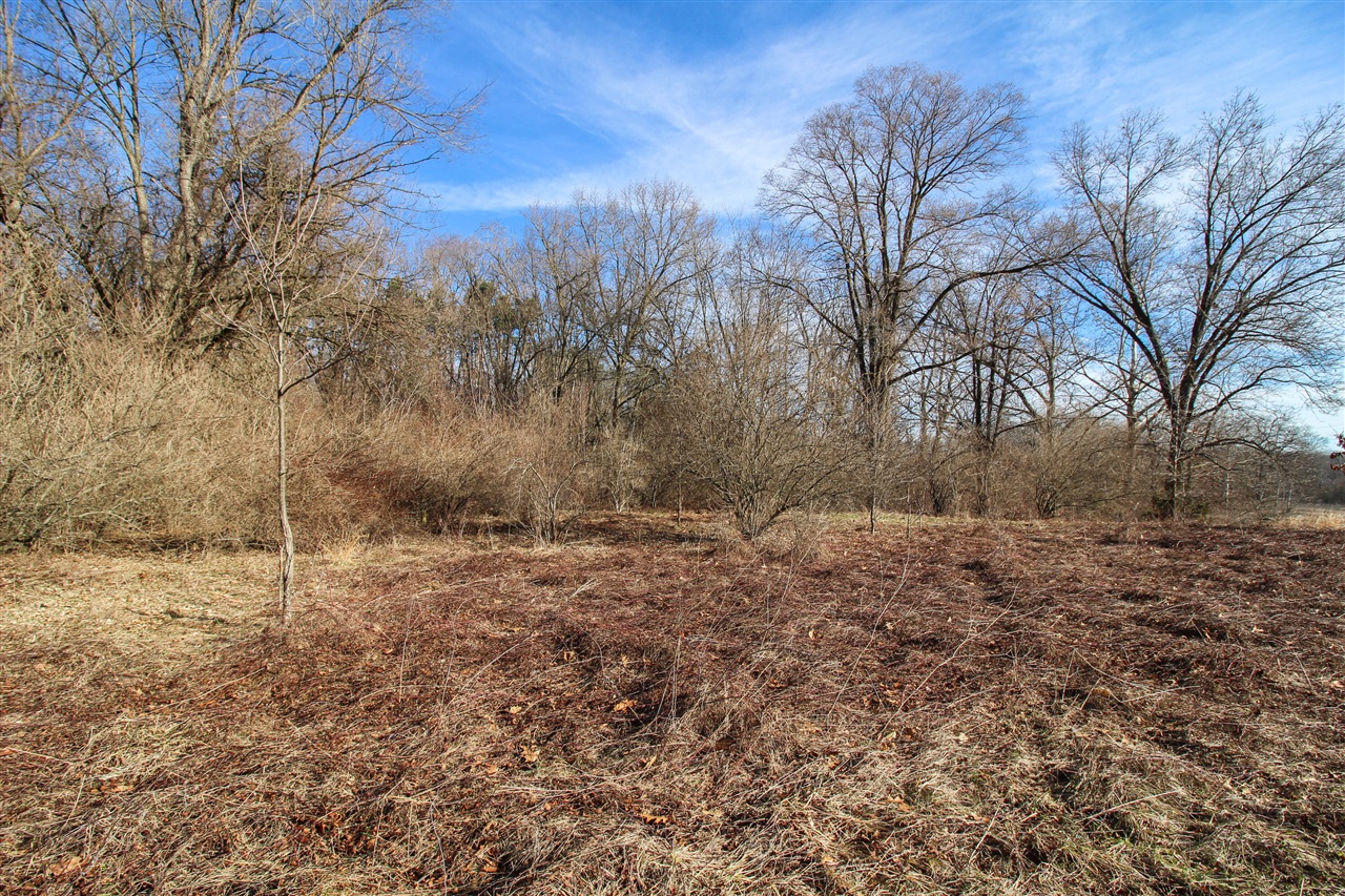 Shorewood Lot 1 Drive photo 4