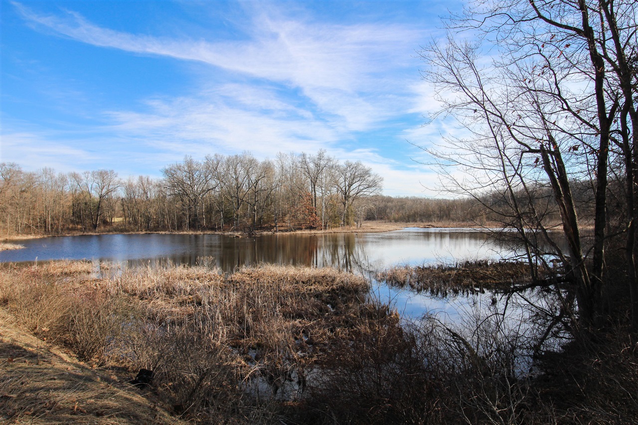 Shorewood Lot 1 Drive photo 7