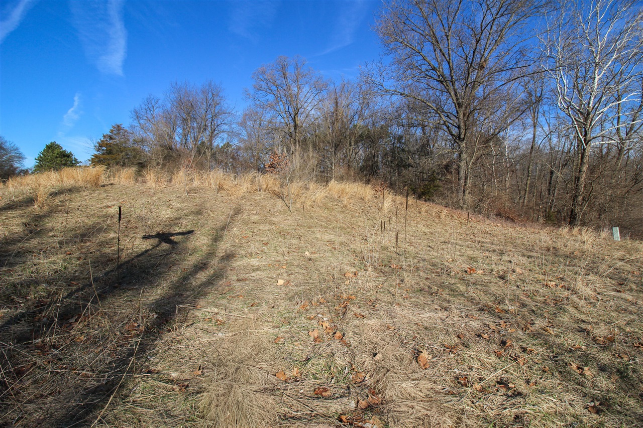 Shorewood Lot 1 Drive photo 8