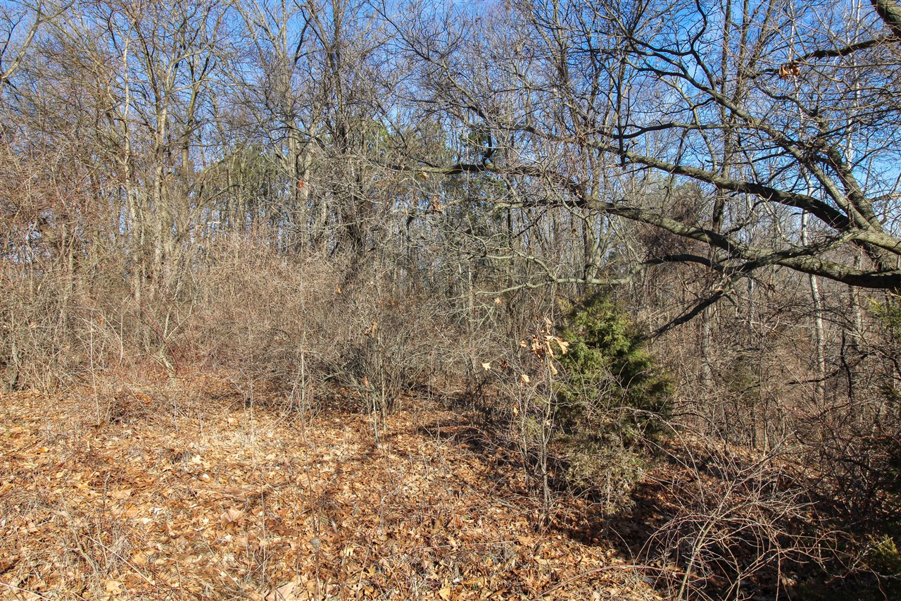 Shorewood Lot 1 Drive photo 9