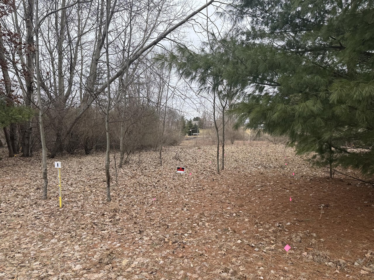 10340 N Peninsula Drive photo 3