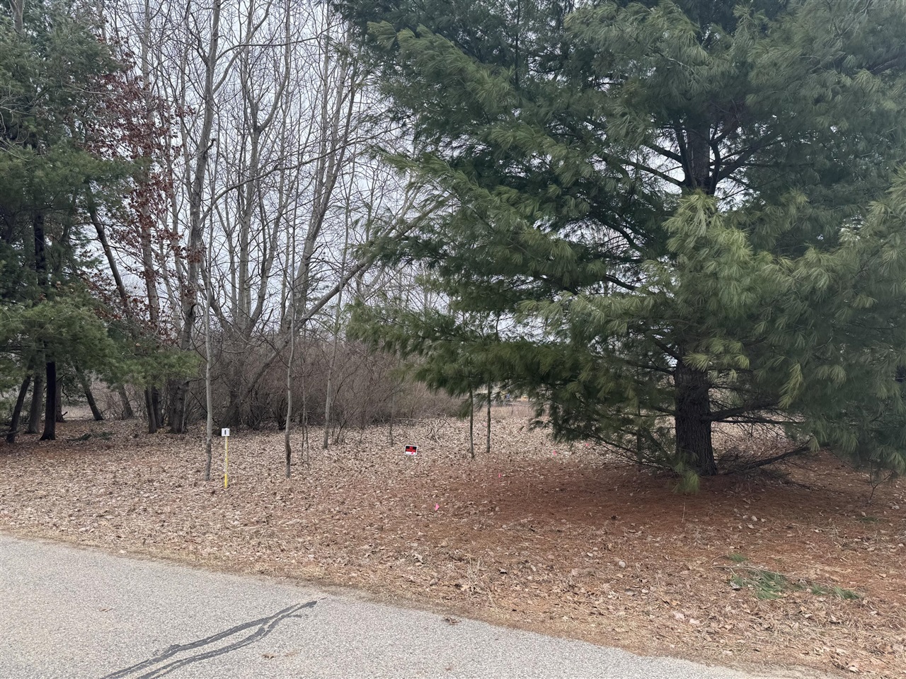 10340 N Peninsula Drive photo 4