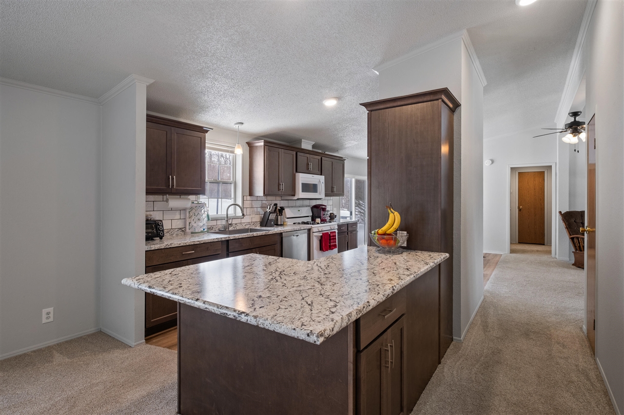 11310 W Bluewater Highway, Lowell, MI, 49331-8701