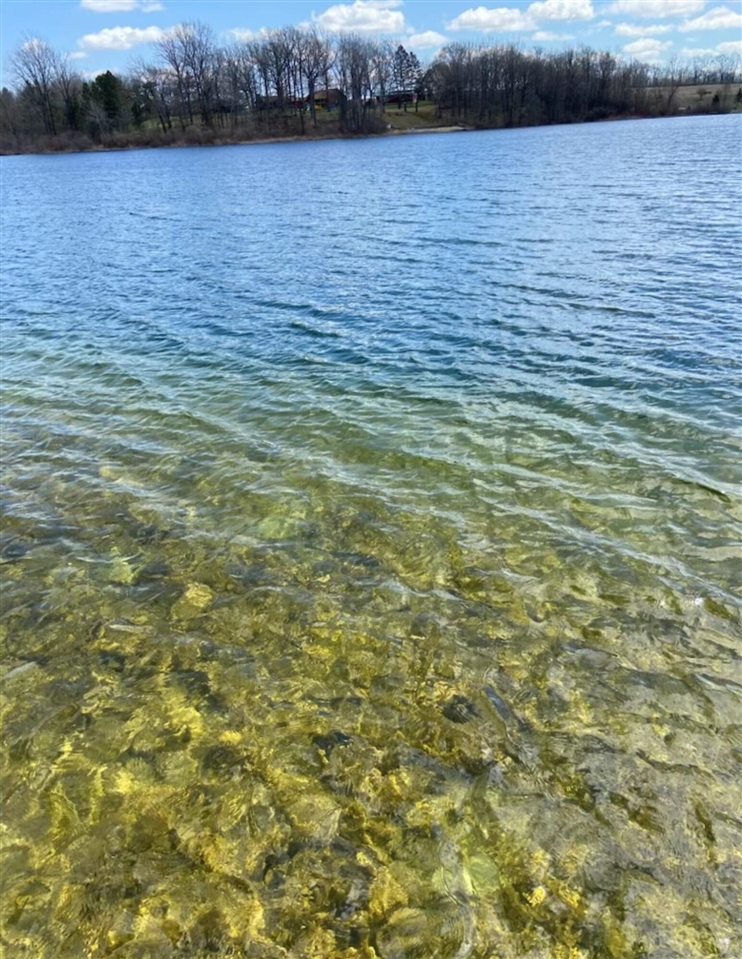 9621 Lakeview Drive, Jerome, MI, 49249-9441