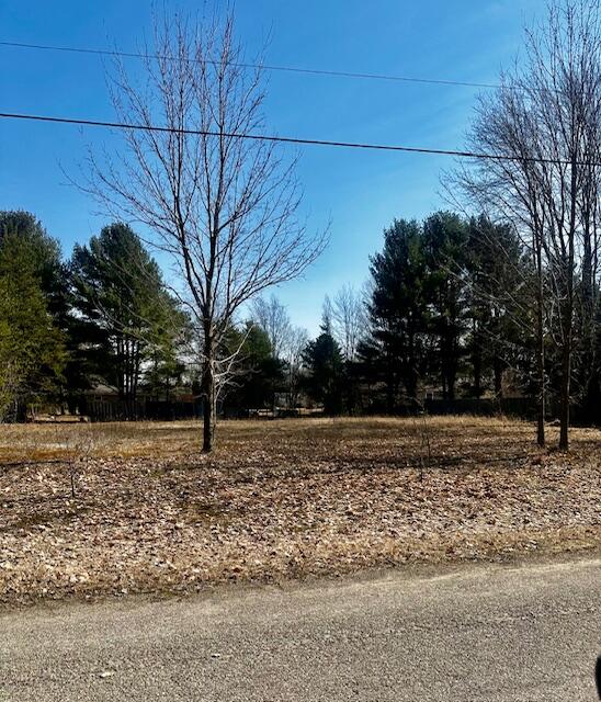 Photo of property for sale at Twelfth Street, Bear Lake MI 49614