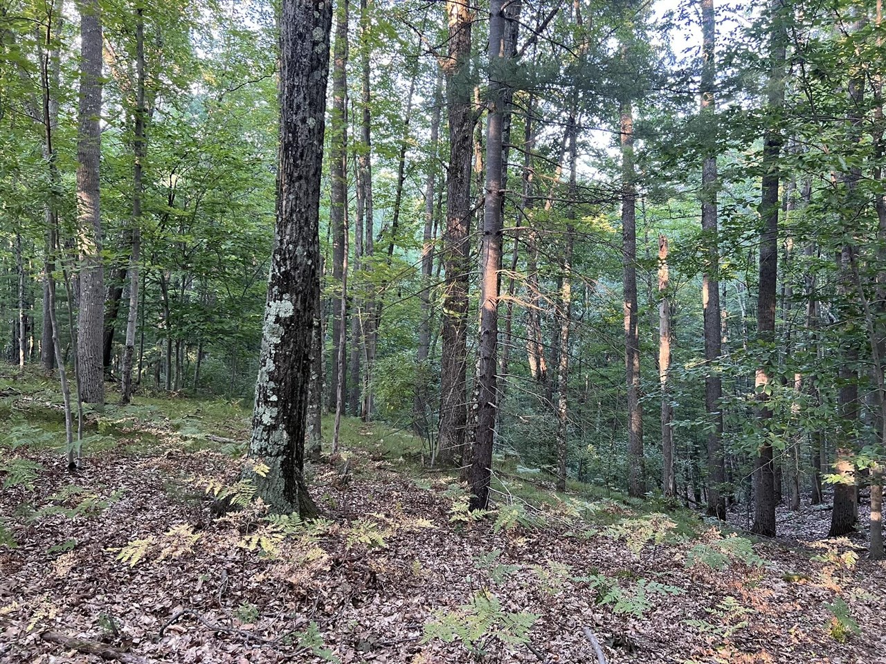 N Caribou Trail photo 2
