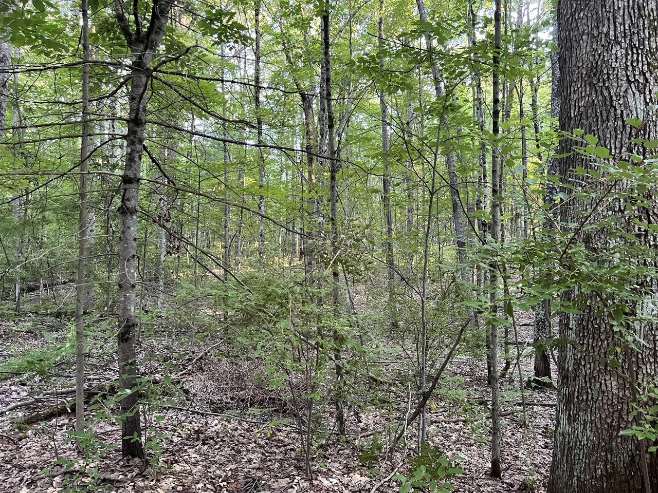 Homes for sale in Irons, MI | N Caribou Trl, Irons, MI 49644 | MLS# 70518904