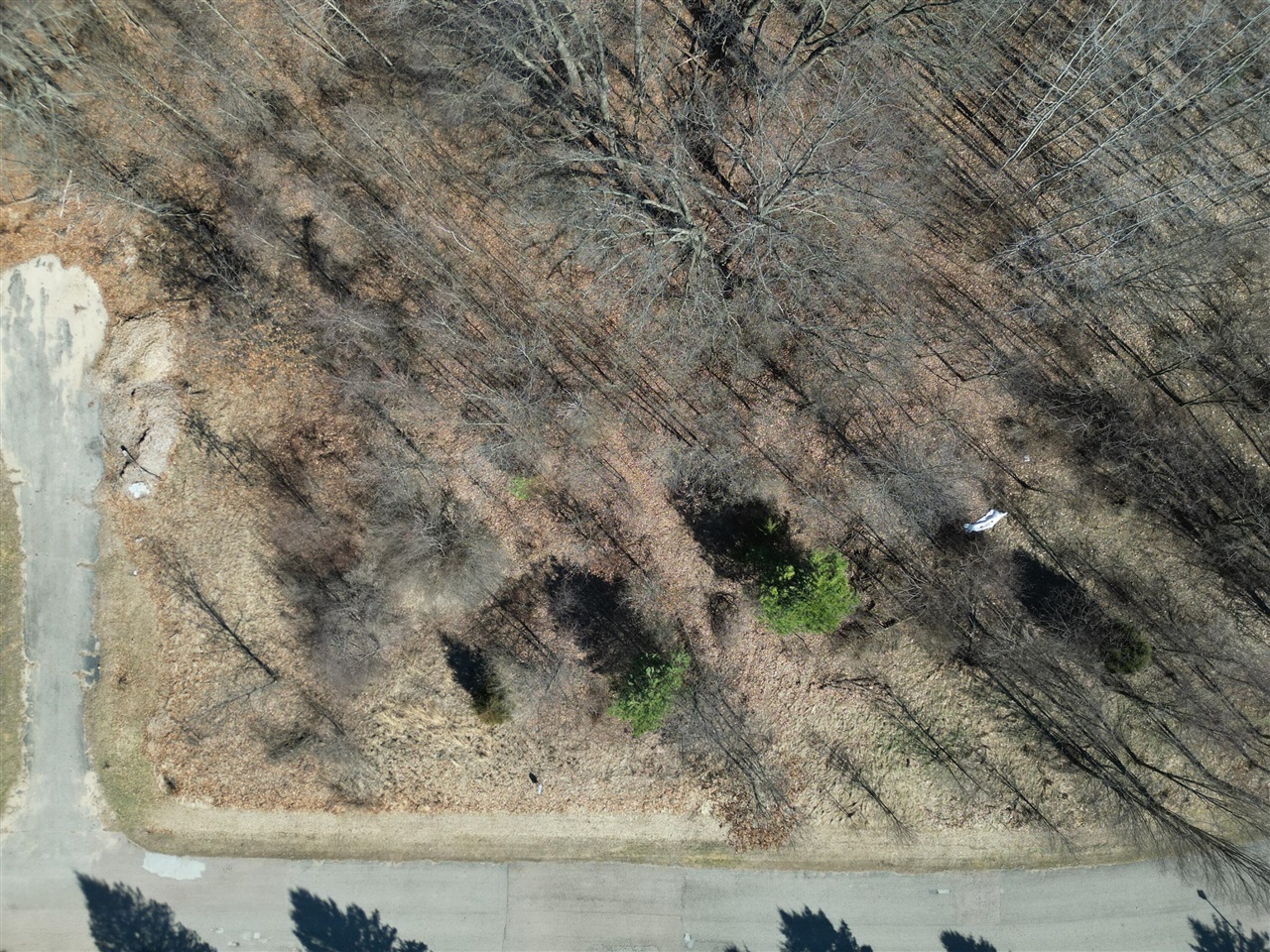 Clubhouse Drive, Marshall, MI, 49068-49068